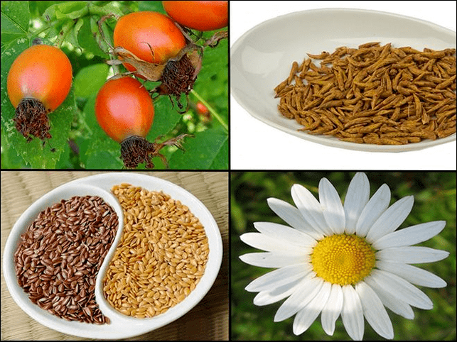 Herbs for cystitis