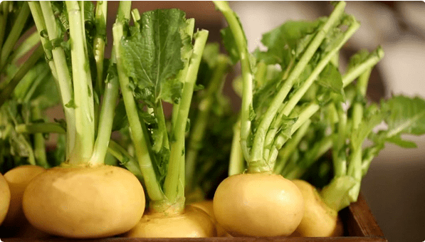 Cystitis carrot